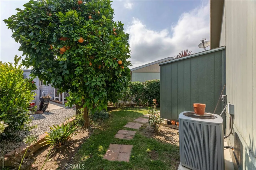 Fruit Trees Fruit Trees