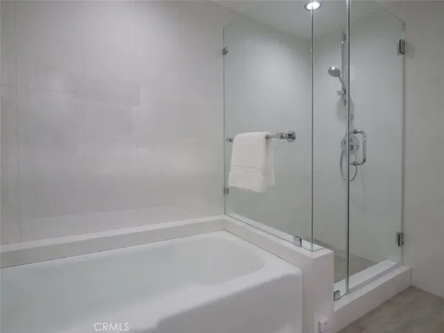 Tub and Shower in Hallway Bathroom