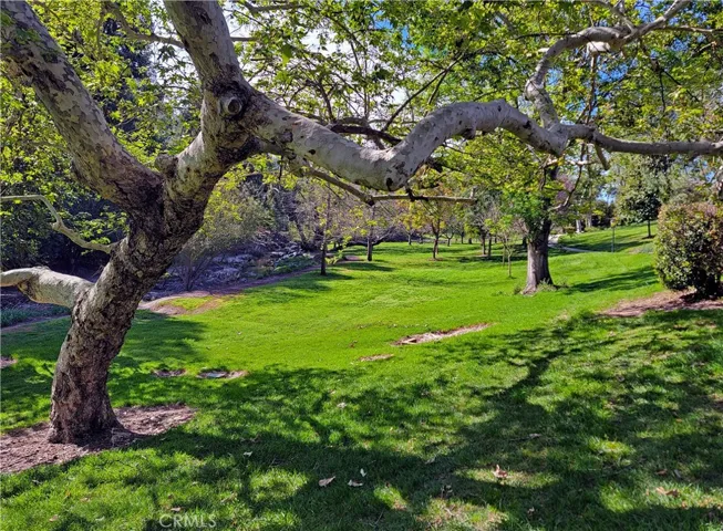 Just yards to the creek