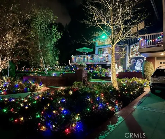 Christmas Photos