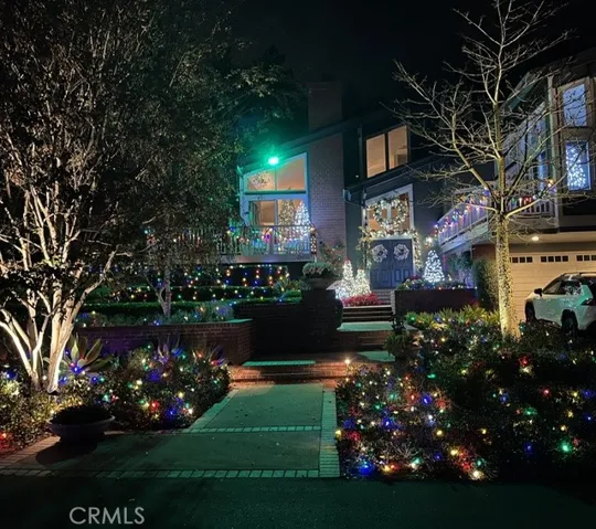 Christmas Photos