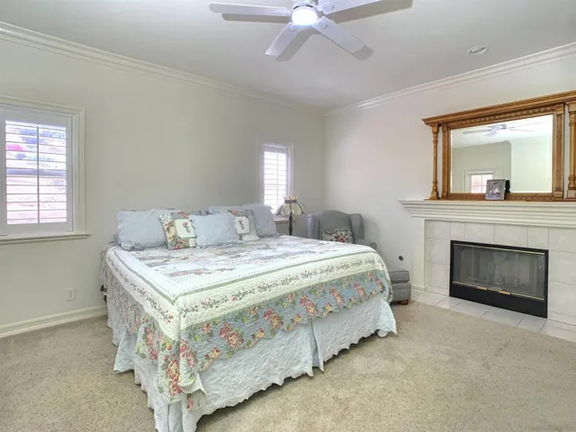 Primary bedroom view #1