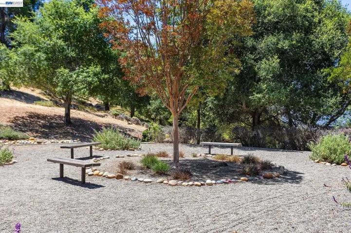 19252 Masterson Pl, Castro Valley, California 94552