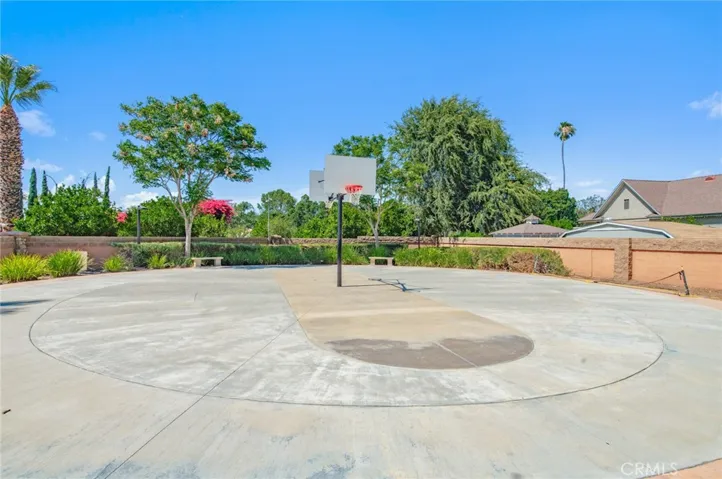 Community basket court