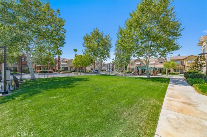 Playground and park areas