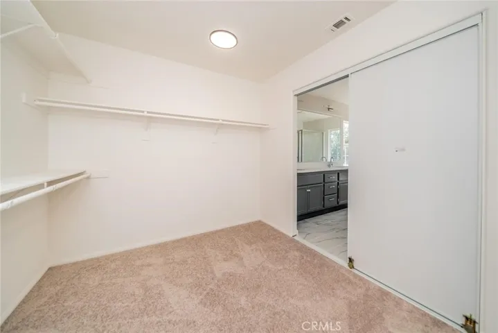 Primary Closet