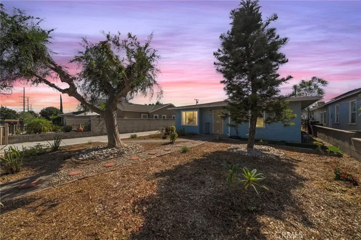 Frontyard