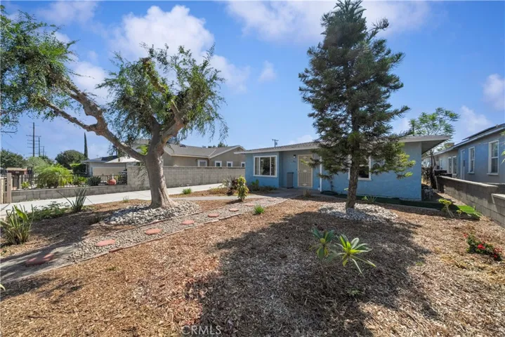 Front Yard