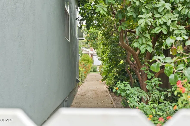 449_Clay_St-Sideyard & Fruit Trees