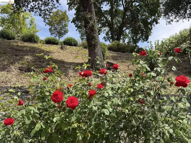 3560 Old Mountain Dr, Lafayette, California 94549