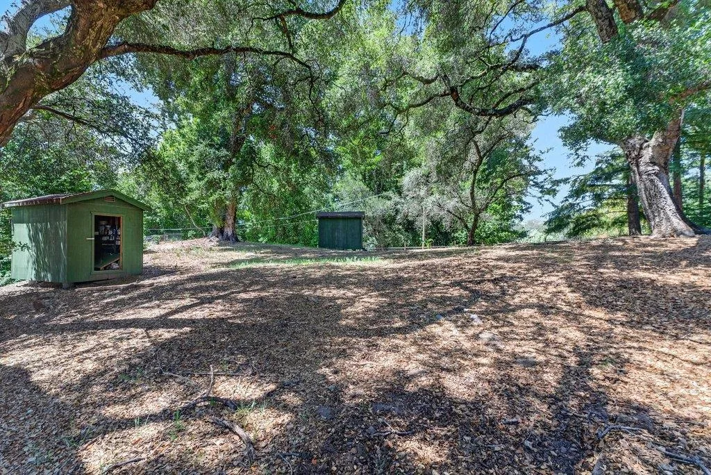 Spacious side yard giving great privacy and sheds for storage
