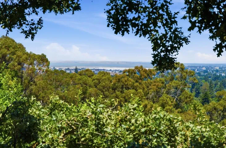 643 Vista Drive, Redwood City, California 94062