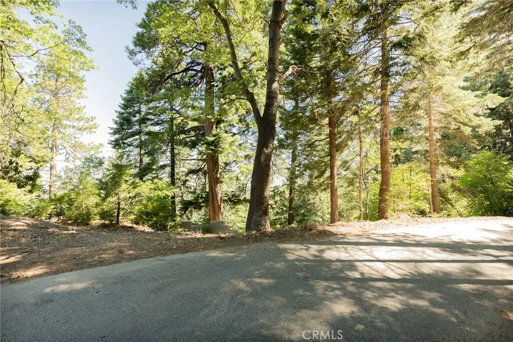 746 Blue Ridge Drive, Lake Arrowhead, California 92385 — photo 4