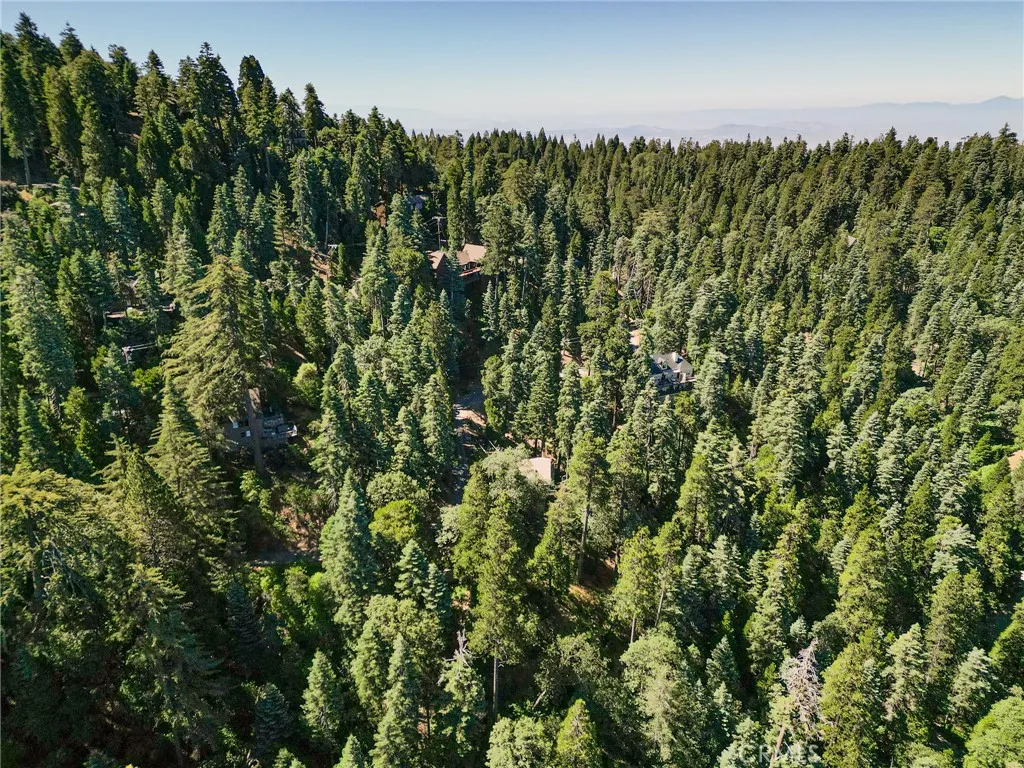 746 Blue Ridge Drive, Lake Arrowhead, California 92385 — photo 5