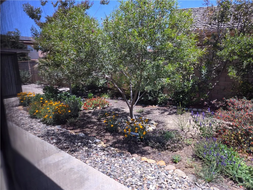 Flowering trees