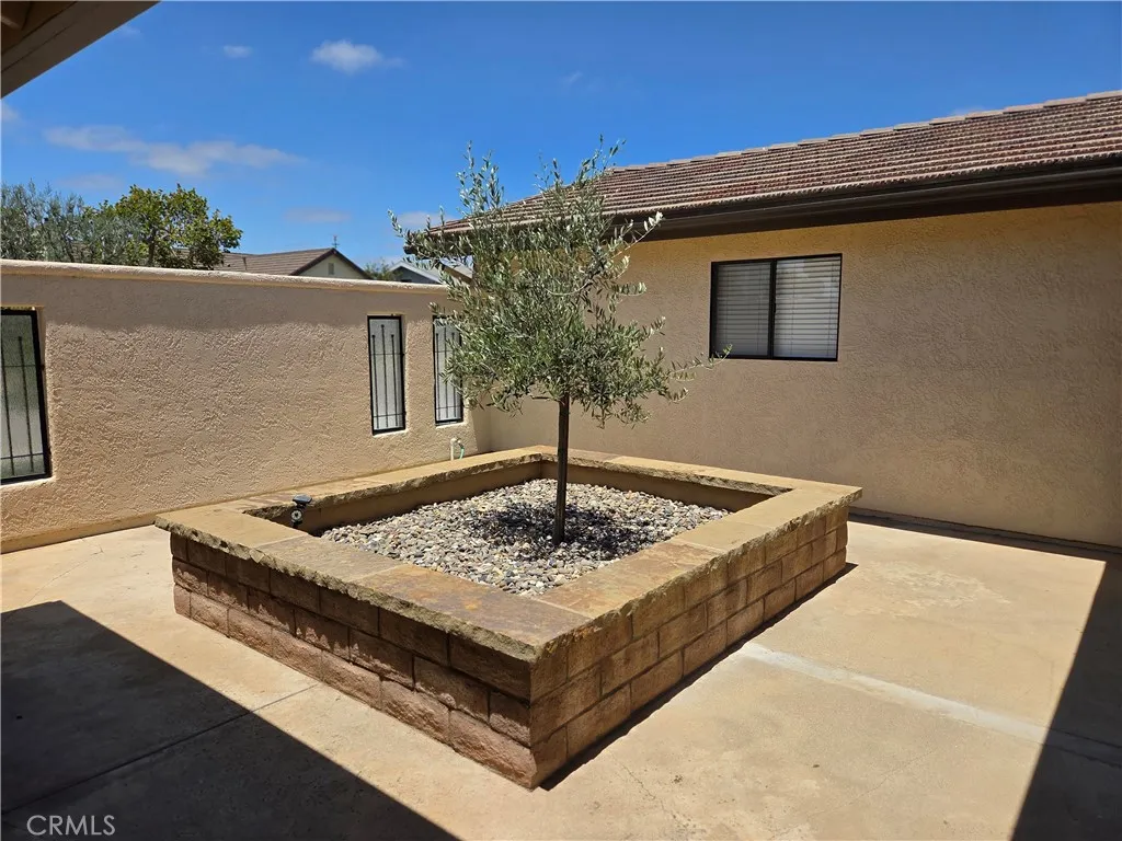 Private patio area with tree