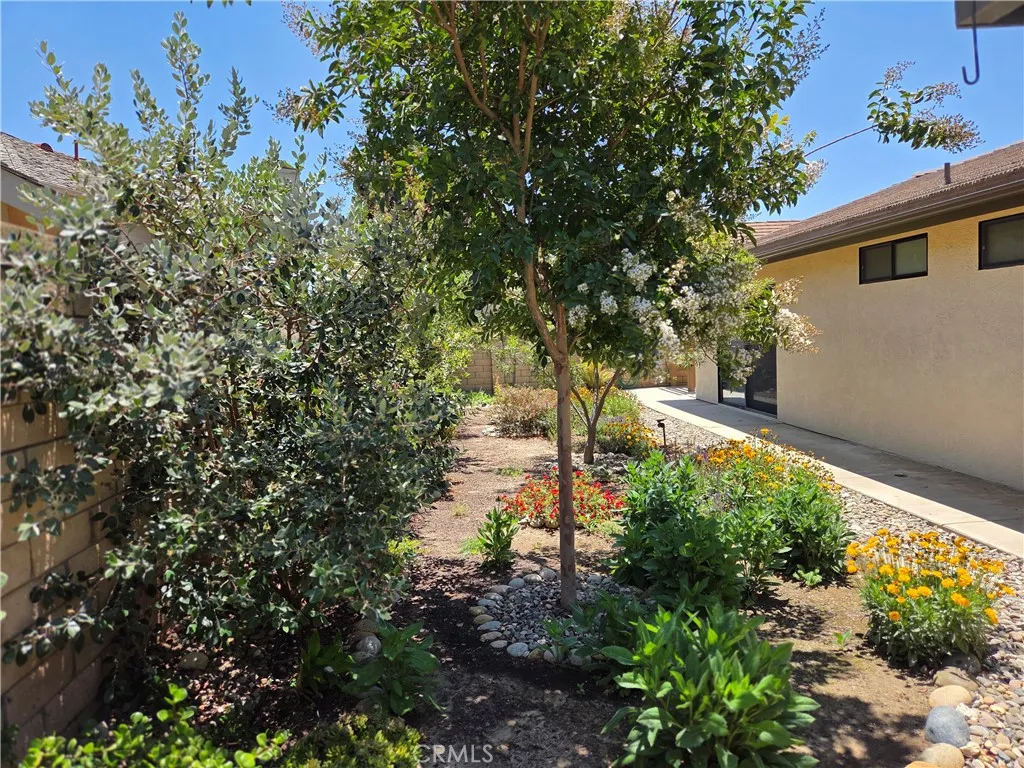 Back yard with native plants