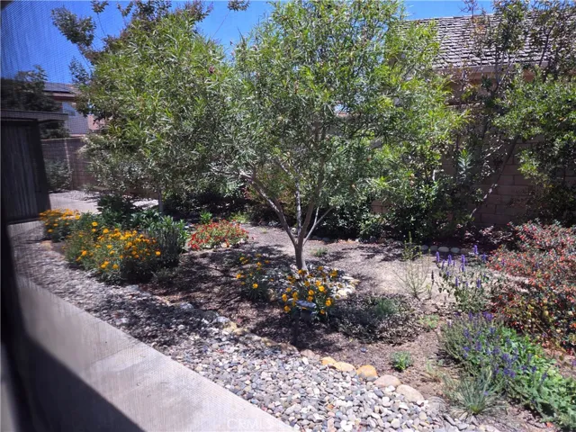 Flowering trees