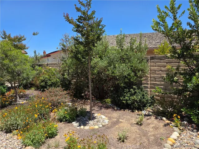 Southeast corner of back yard