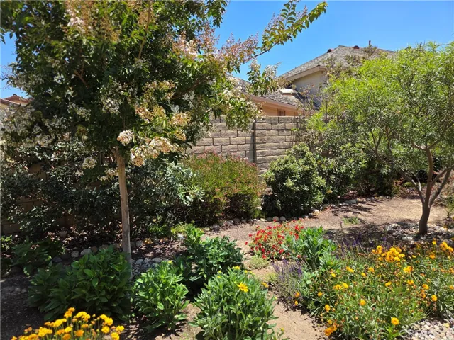 Low maintenance yard