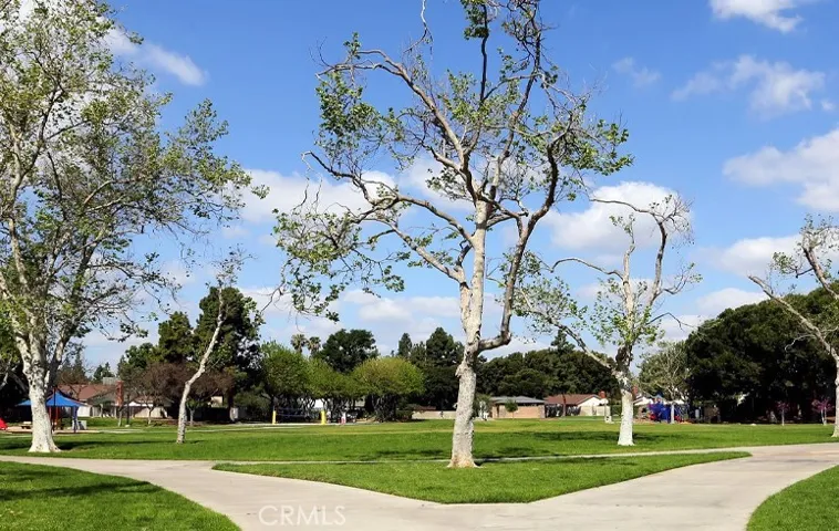 Walk to Centennial Park