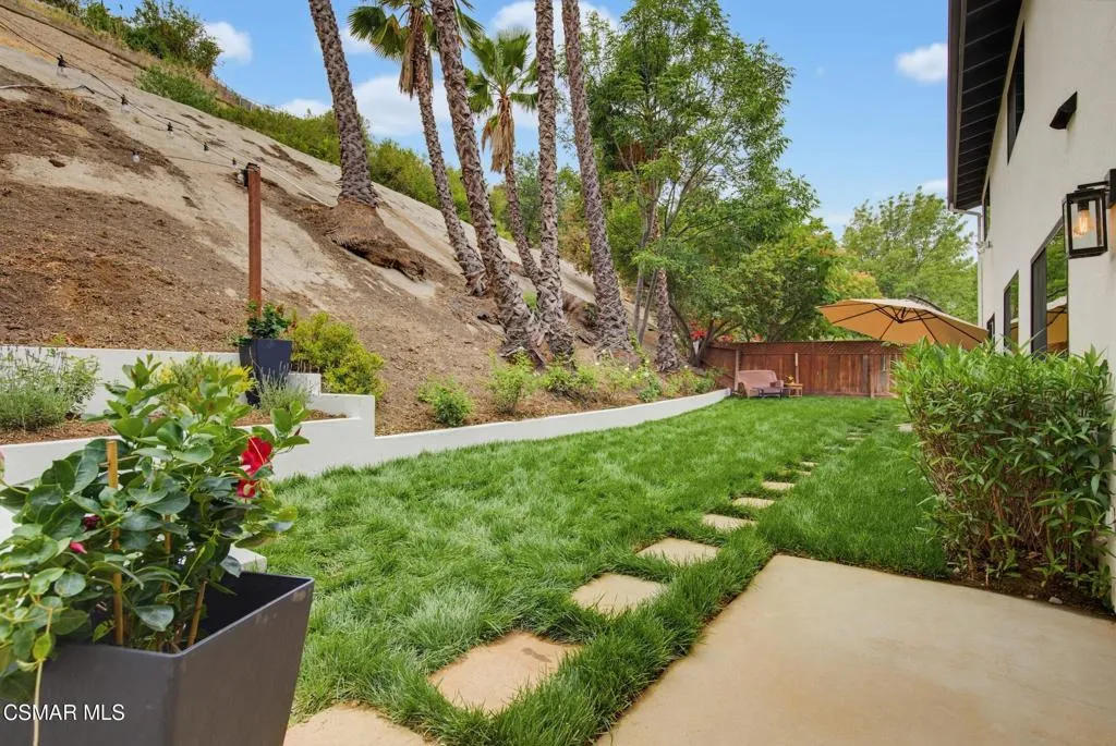 Back yard