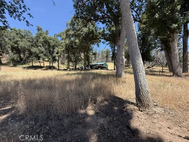 24 N #35 Rd, Paskenta, California 96074