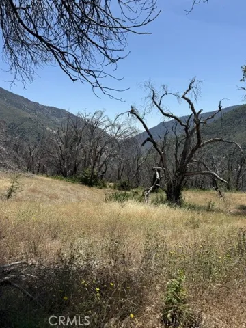 view from cabin area