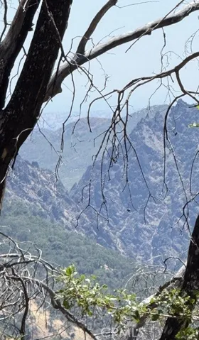 View from cabin area