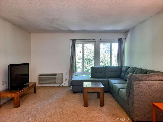 Living room w/ dual pane windows