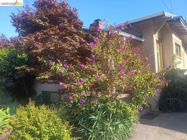 Manicured landscaping with mature trees and vibrant flowering shrubs