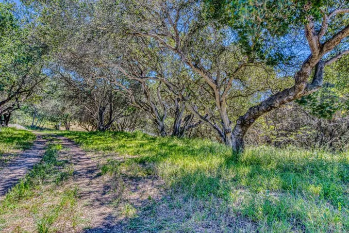 417 Maher Road, Royal Oaks, California 95076 — photo 5