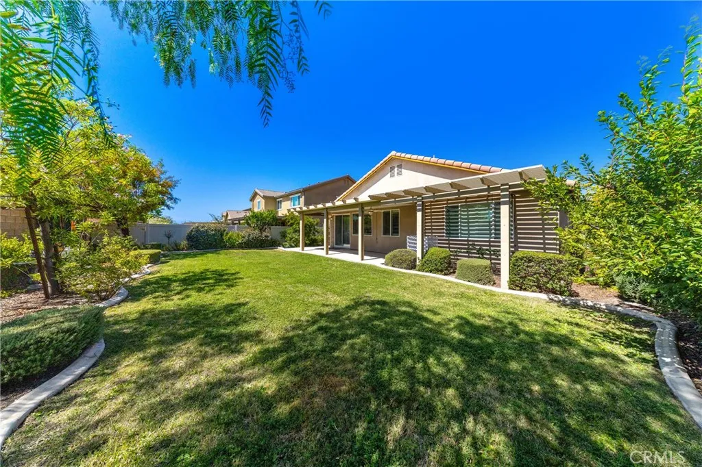 Expansive Backyard
