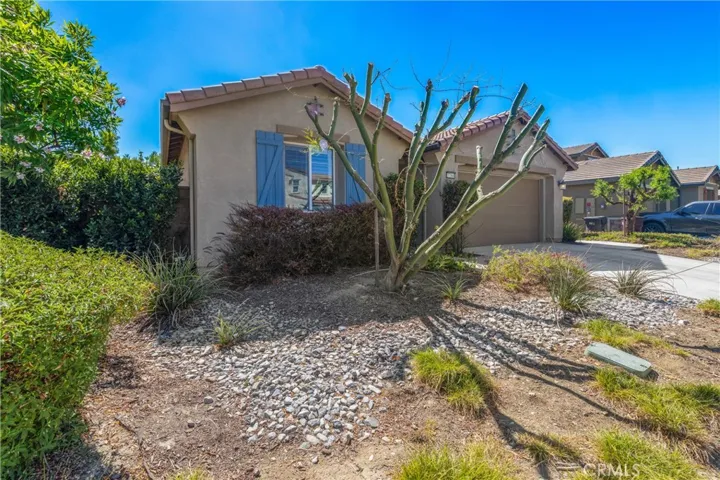 Low-Maintenance Front Yard
