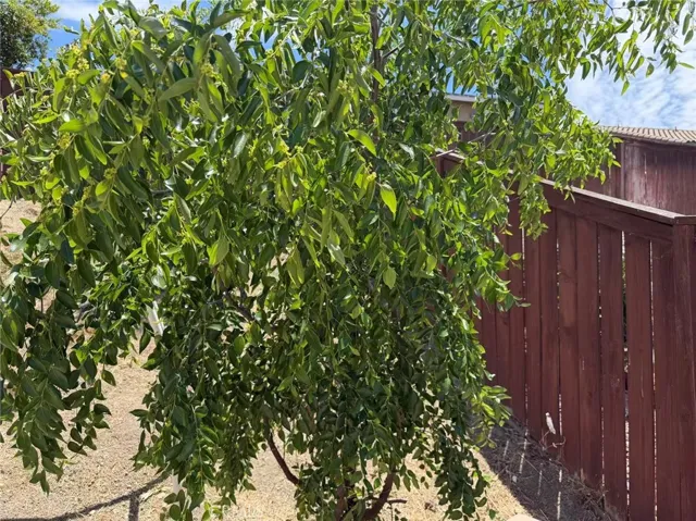 29535 Hyperion, Murrieta, California 92563