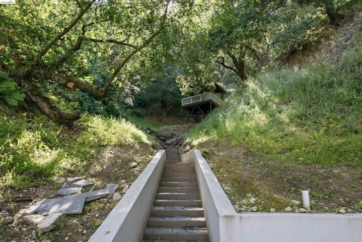 Concrete staircase ascending a natural hillside with mature trees