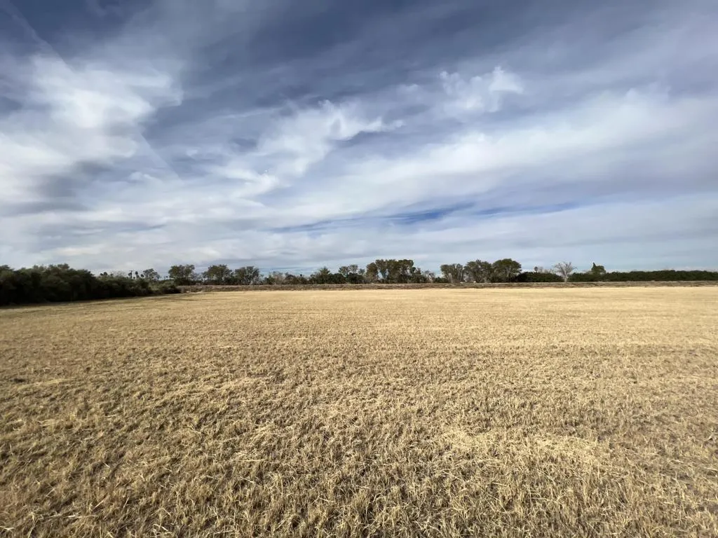 1159 Broadway, Blythe, California 92225 — photo 5
