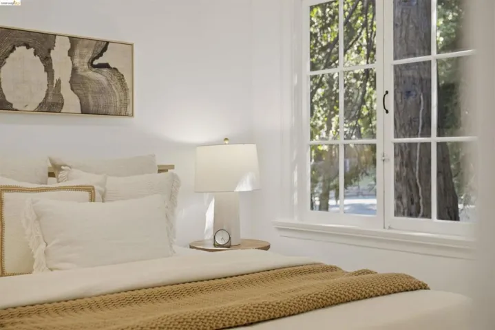 White-framed grid window with clear glass panels, offering natural light and a verdant tree canopy view