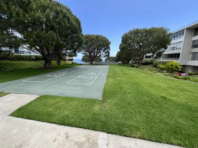 Shuffleboard