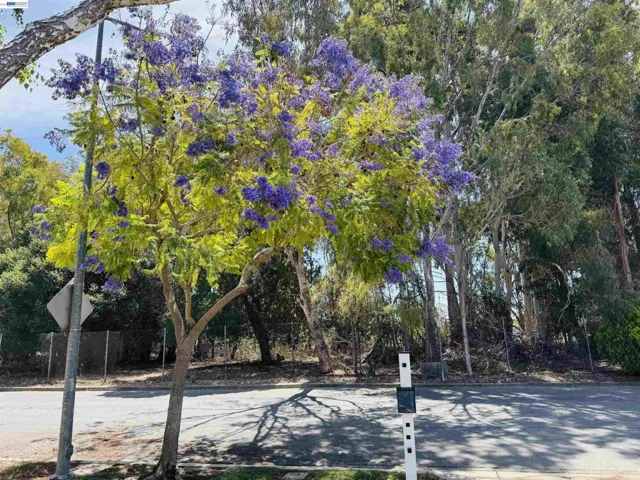 5579 Ridgewood Dr, Fremont, California 94555