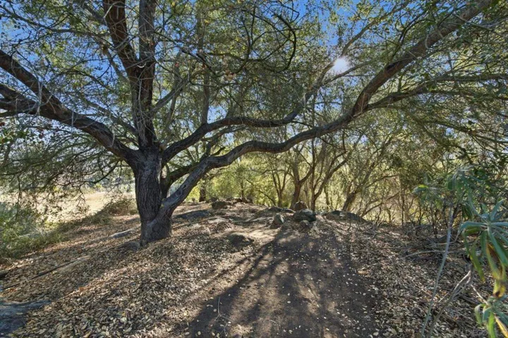 11248 Calle Oro Verde, Valley Center, California 92082