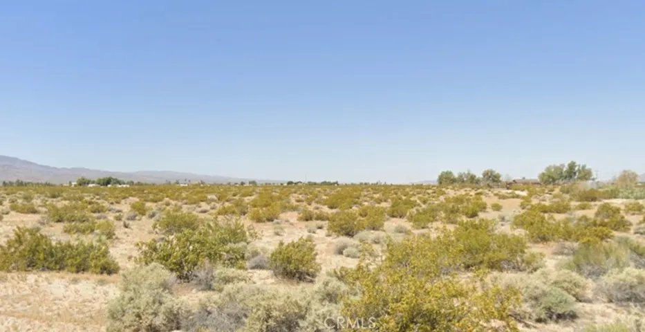 46248 Toy Truck Road, Newberry Springs, California 92365