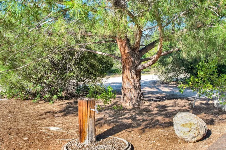 181 Montana Del Lago Drive, Rancho Santa Margarita, California 92688