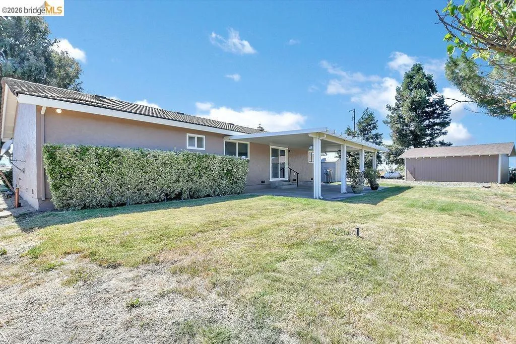 Expansive rear yard featuring a covered patio, a detached storage shed, and a privacy hedge