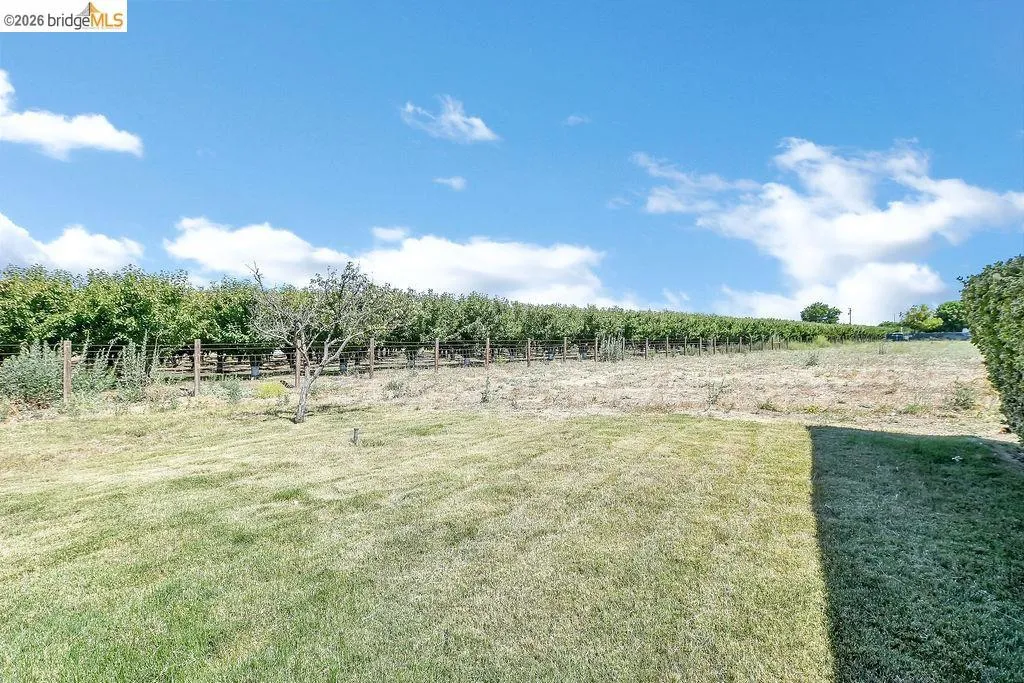 Expansive outdoor area featuring a manicured lawn leading to a trellised vineyard
