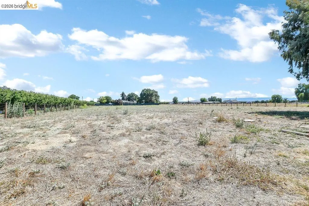 Expansive agricultural land featuring a vineyard row, open field, and distant trees