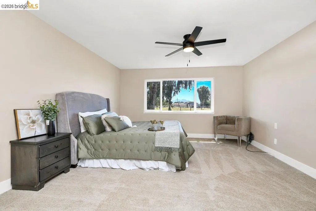 Spacious room featuring neutral carpeting, a large window, a black ceiling fan, light-colored walls, and white baseboards