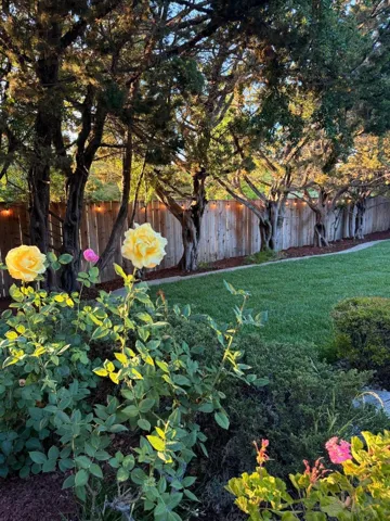 737 Ensign Way, Palo Alto, California 94303