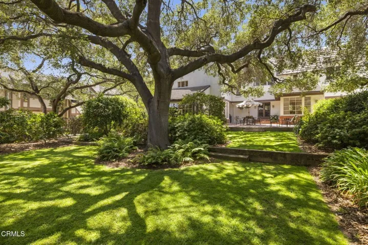 54-web-or-mls-1A1A5691