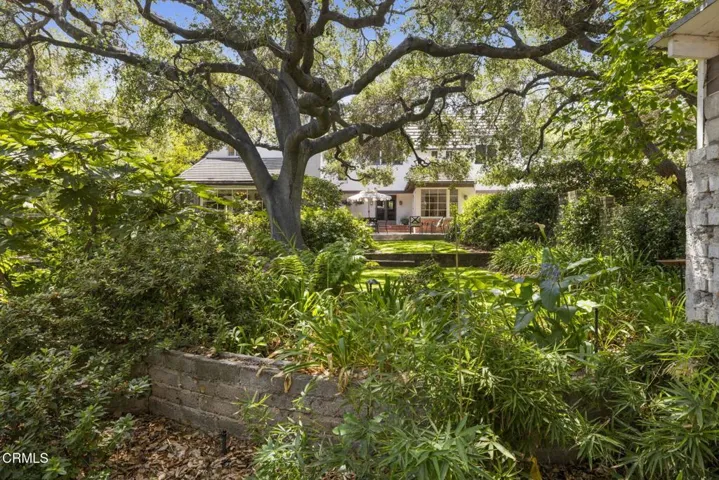 74-web-or-mls-1A1A5764
